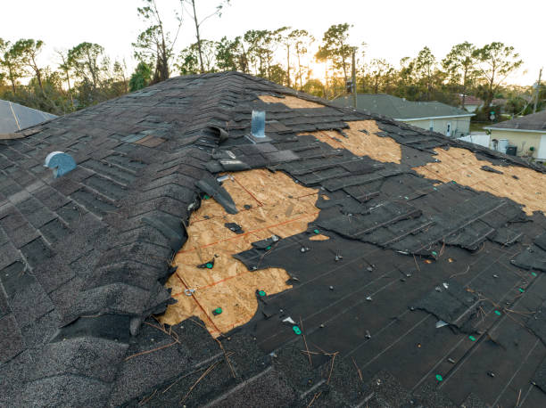 Best Roof Coating and Sealing  in Memphis, MI