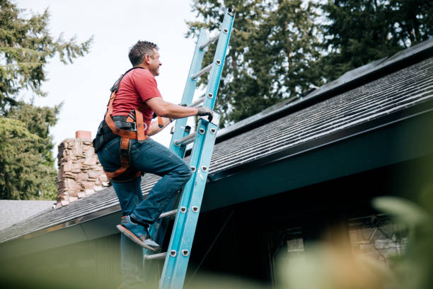 Best Emergency Roof Repair  in Memphis, MI