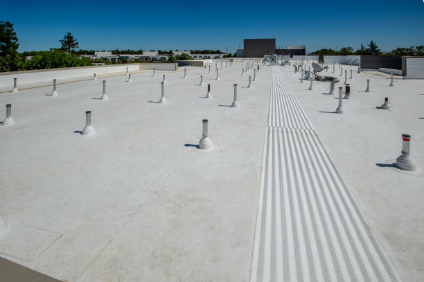 Best Skylight Installation and Repair  in Memphis, MI